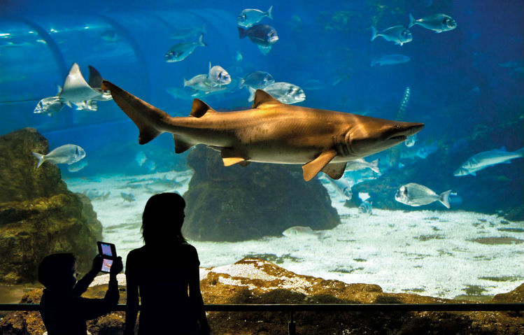 Acquario di Barcellona