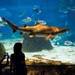 Acquario Barcellona