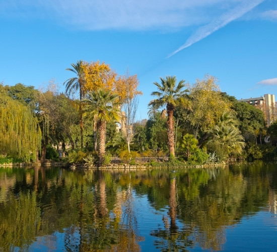 Il laghetto del Parco della Ciutadella