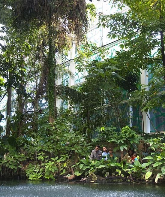 La sala Bosco Inondato del Cosmocaixa