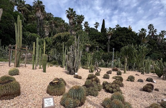 Giardini di Mossen i Costa i Llobera