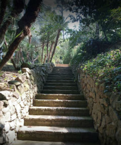 Giardino Botanico Storico