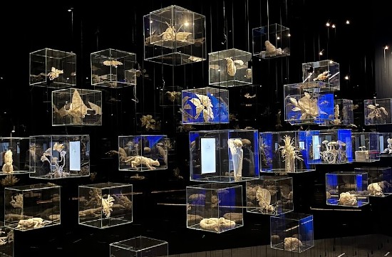 Mostra al Mirador Torre Glories