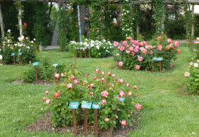 Parc de Cervantes, Barcellona