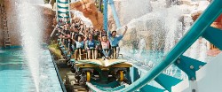 shambhala portaventura