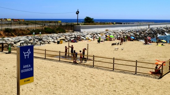 Spiaggia di Llevant, Barcellona, dog-friendly