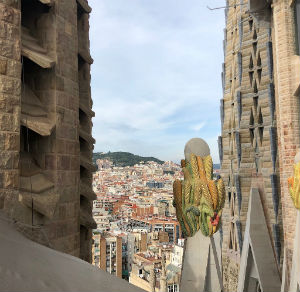 Vista dalle torri della Sagrada Familia