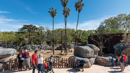 Zoo di Barcellona